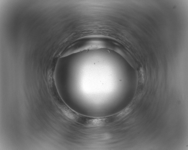 X0000065260184200602171504