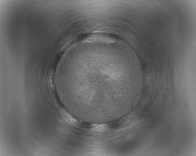 X0000065260185200602171504