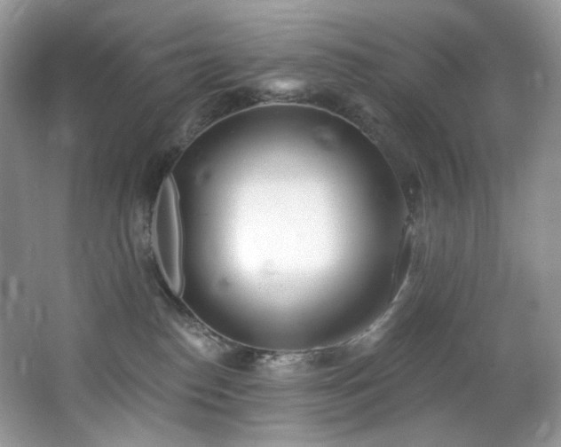 X0000065260186200602171504