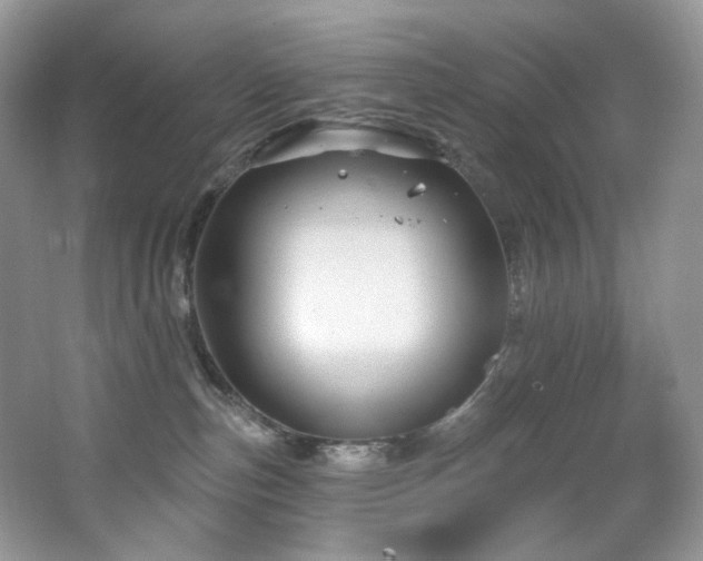 X0000065260187200602171504