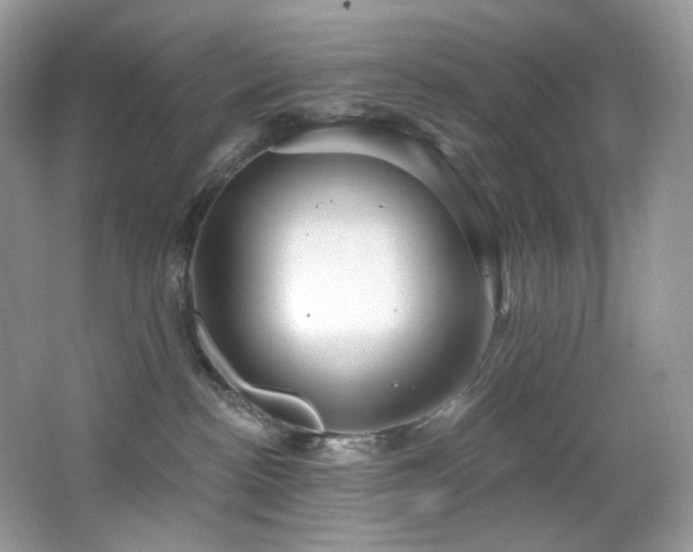 X0000065260188200602171504