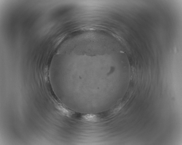 X0000065260189200602171504