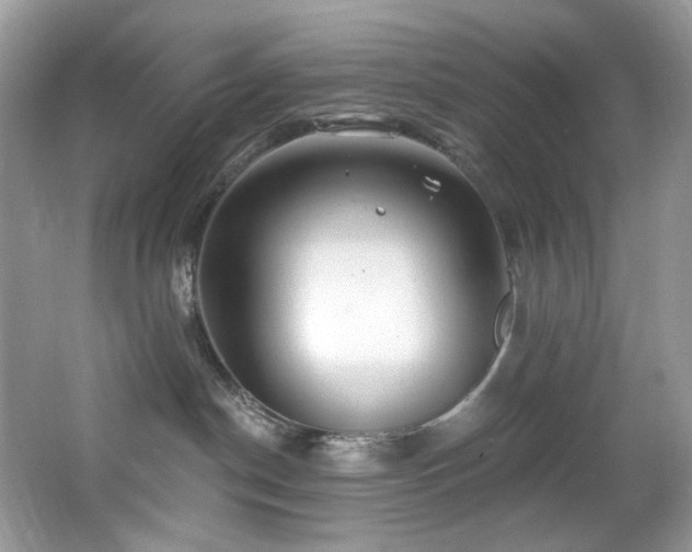 X0000065260190200602171504