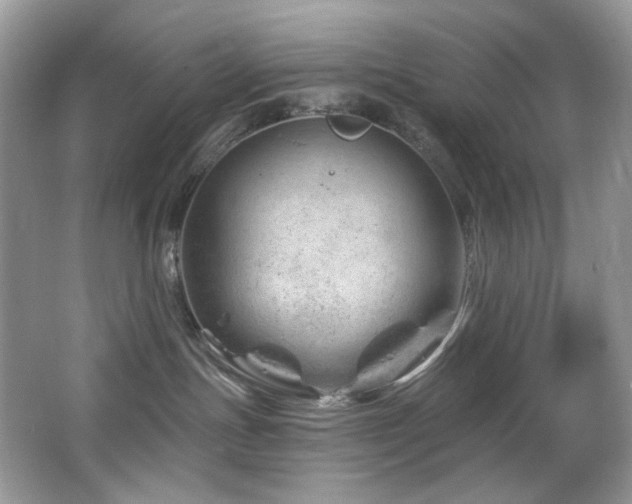 X0000065260191200602171504