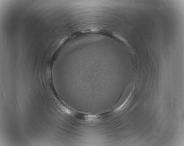 X0000065260192200602171504