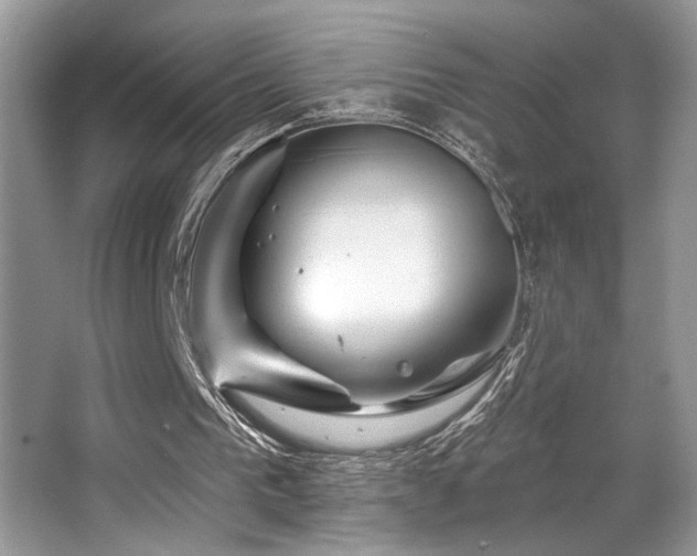 X0000065260193200602171504