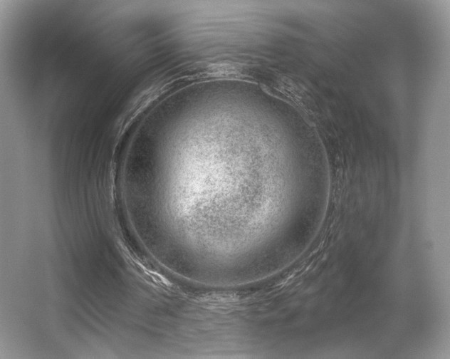 X0000065260194200602171504