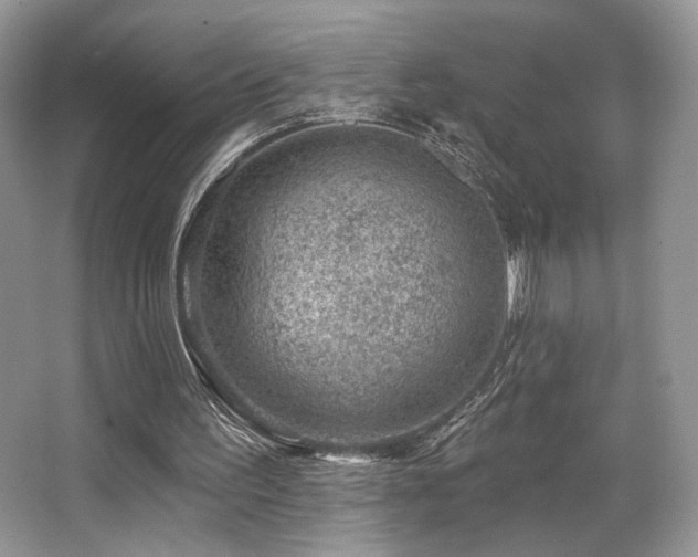 X0000065260195200602171504