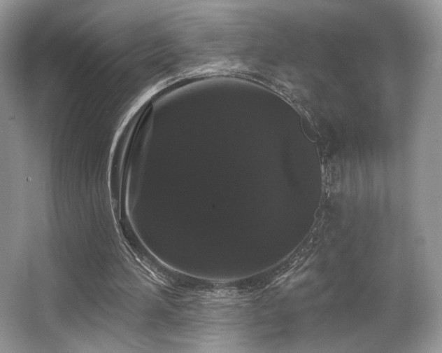 X0000065260196200602171504