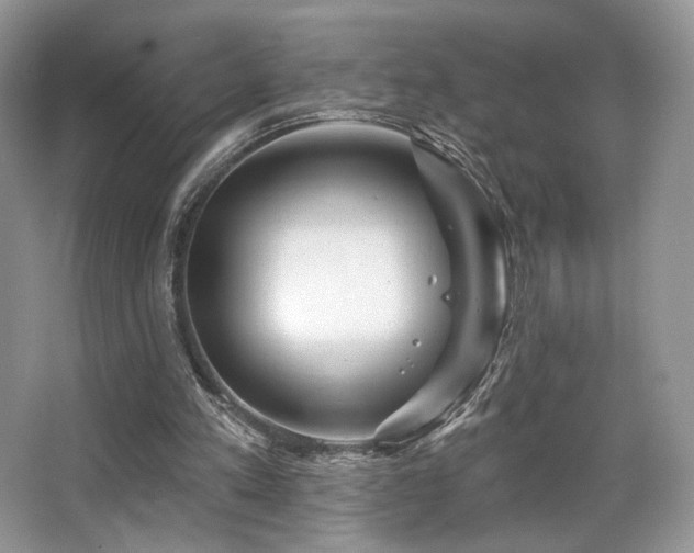 X0000065260197200602171504