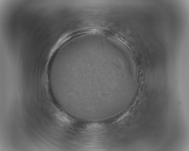 X0000065260198200602171503