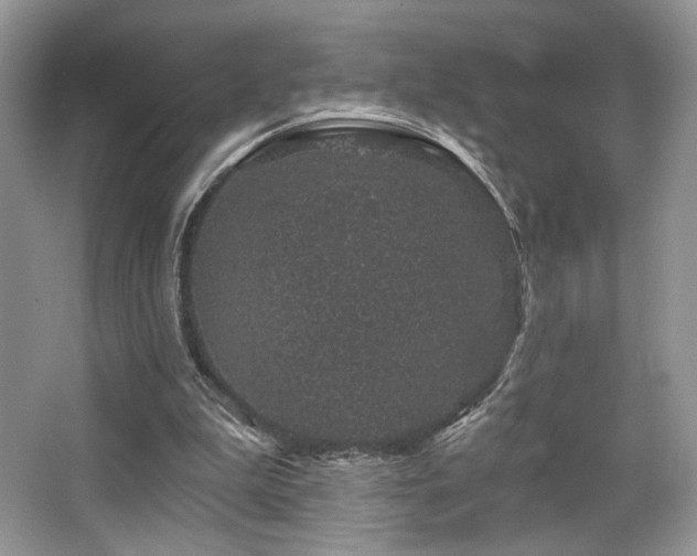 X0000065260199200602171503