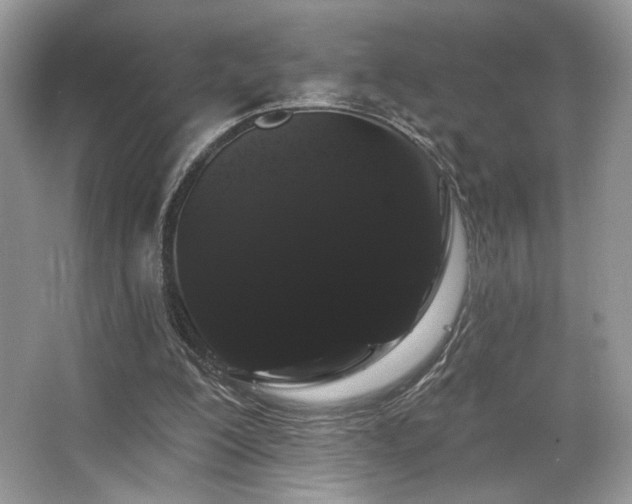 X0000065260200200602171503