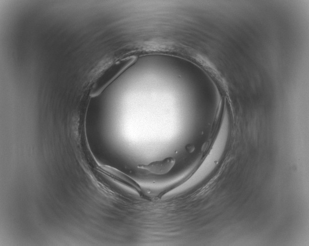 X0000065260201200602171503