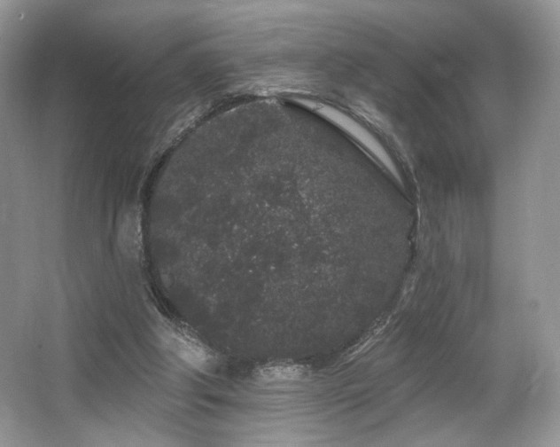 X0000065260202200602171503