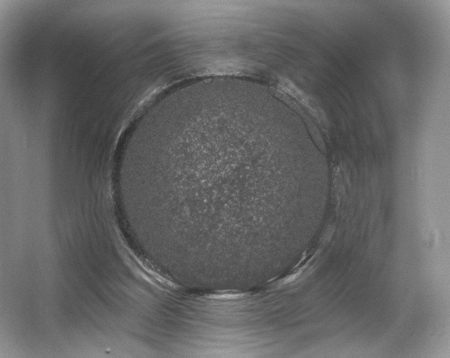 X0000065260203200602171503