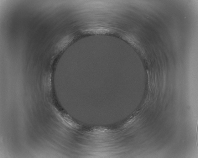 X0000065260206200602171503