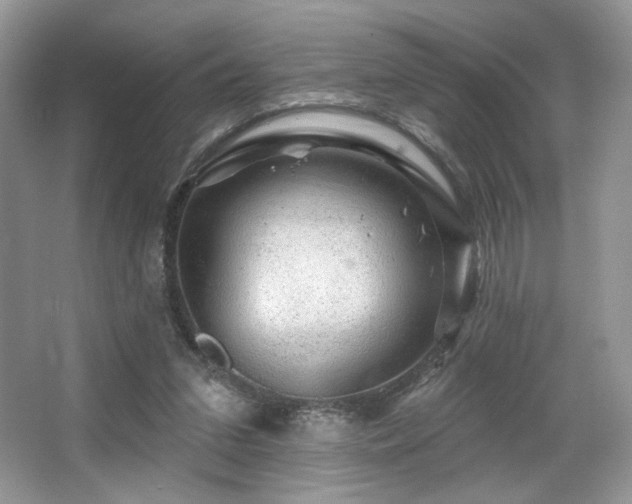 X0000065260207200602171503