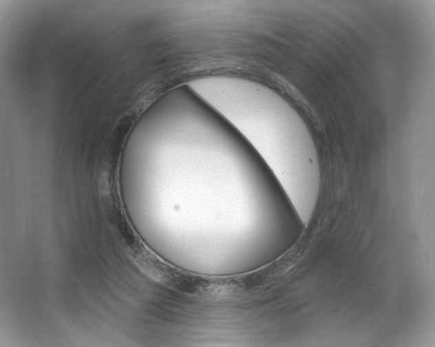 X0000065260209200602171503