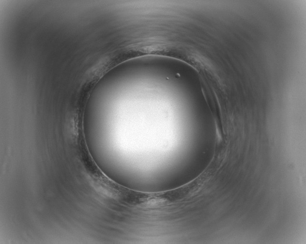 X0000065260210200602171503