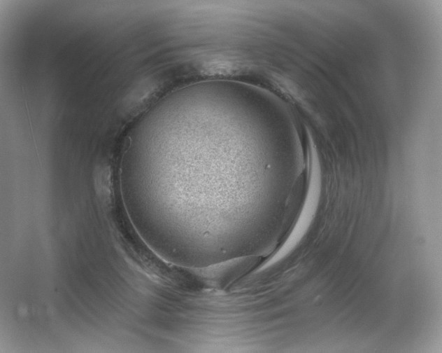 X0000065260211200602171503