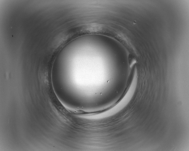 X0000065260212200602171503