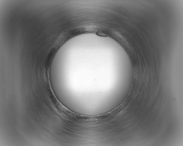 X0000065260213200602171503