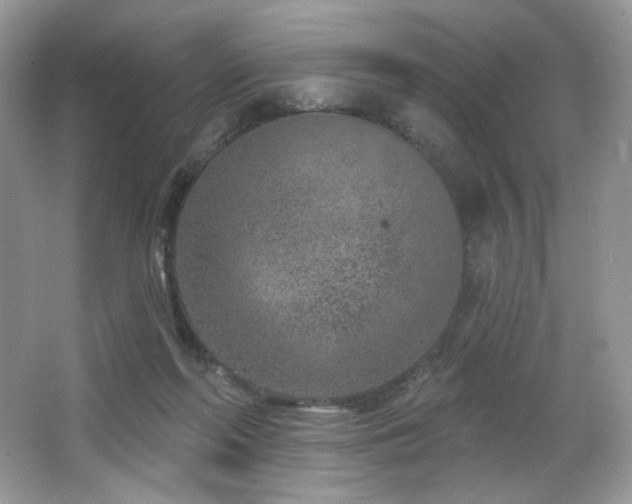 X0000065260214200602171503