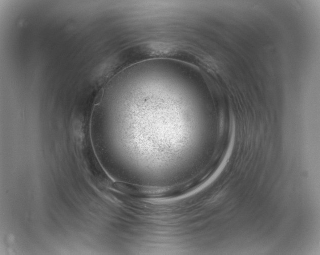 X0000065260215200602171503