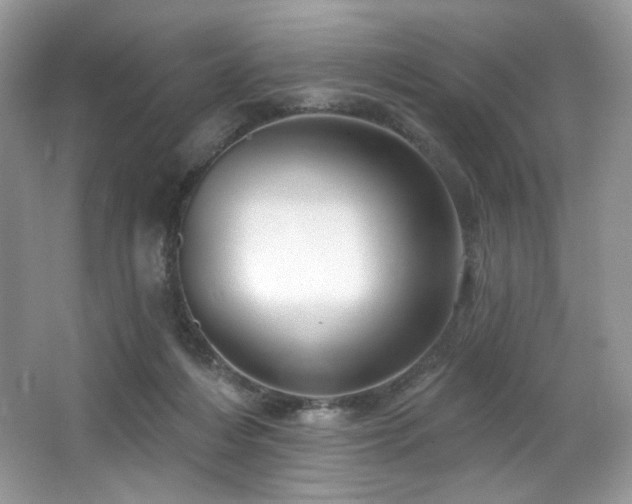 X0000065260216200602171503