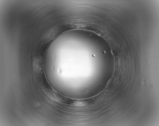 X0000065260218200602171503