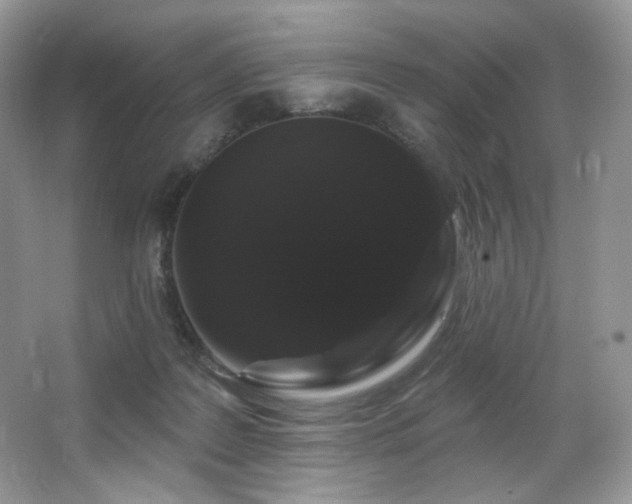 X0000065260219200602171503