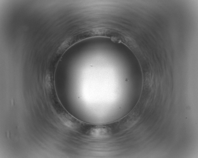 X0000065260220200602171503