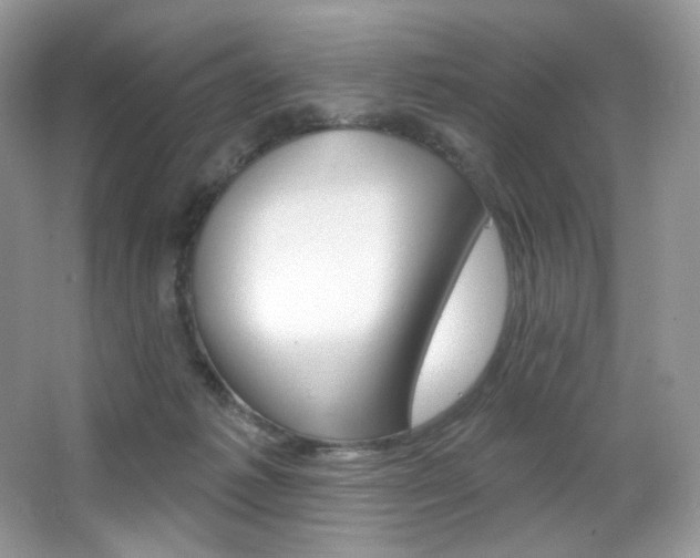 X0000065260221200602171503