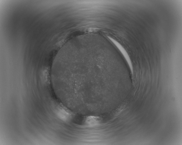 X0000065260222200602171503