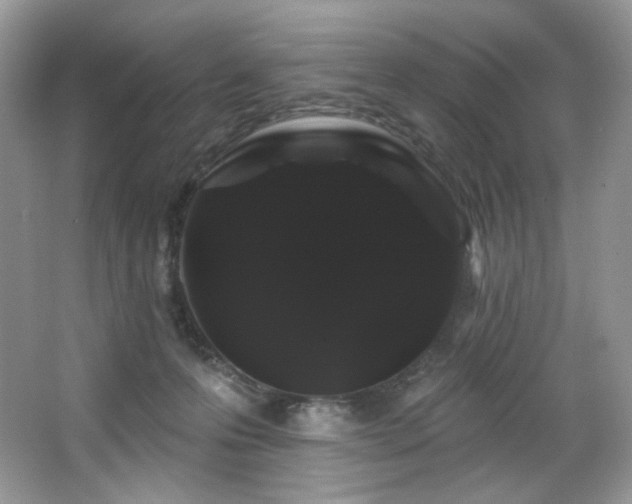 X0000065260223200602171503