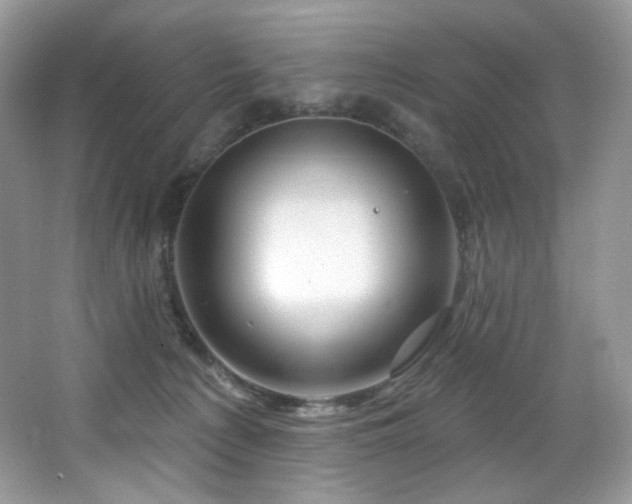 X0000065260225200602171503