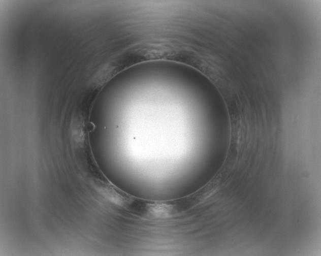 X0000065260226200602171503