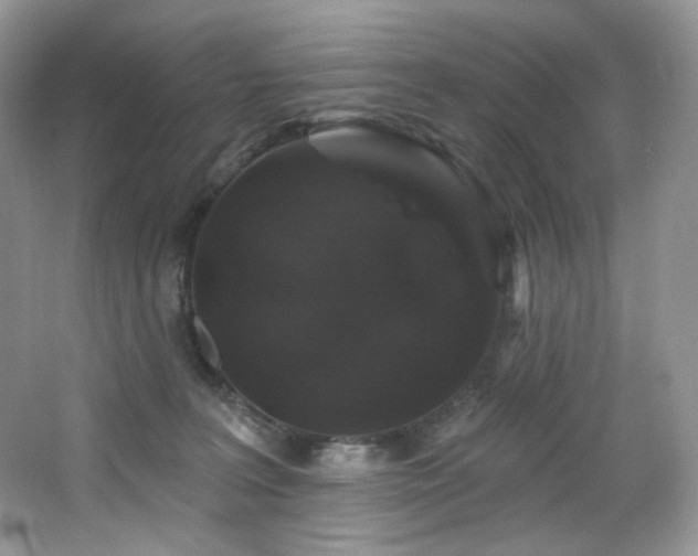 X0000065260227200602171503