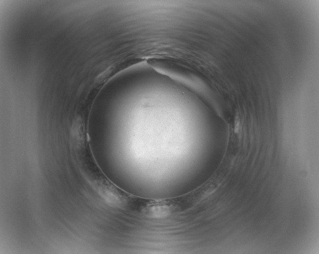 X0000065260228200602171503