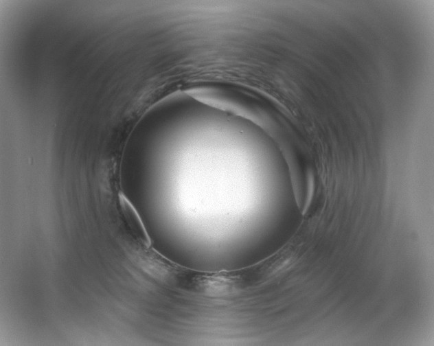 X0000065260229200602171503