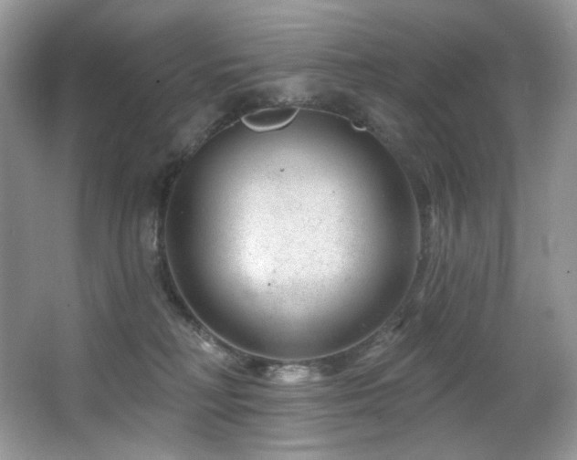 X0000065260230200602171503