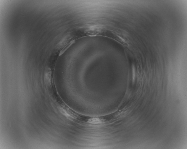 X0000065260231200602171503