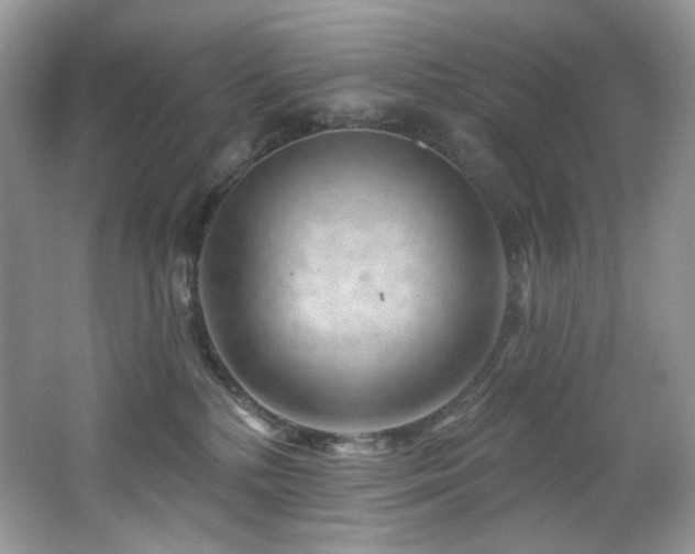 X0000065260232200602171503