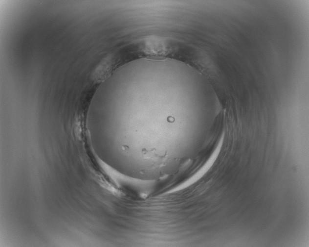 X0000065260233200602171503