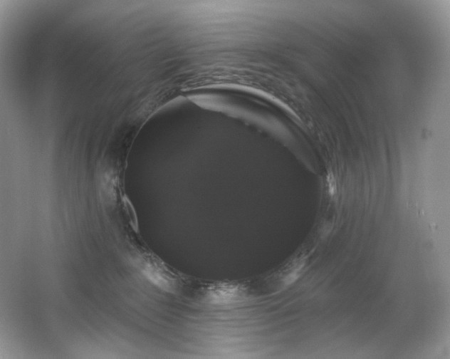 X0000065260235200602171503