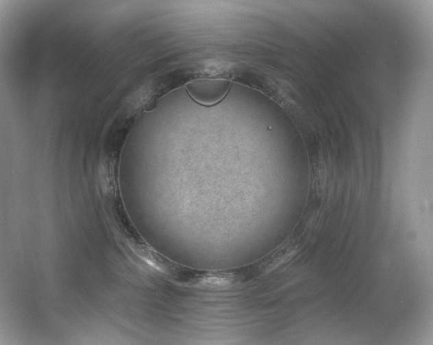 X0000065260236200602171503