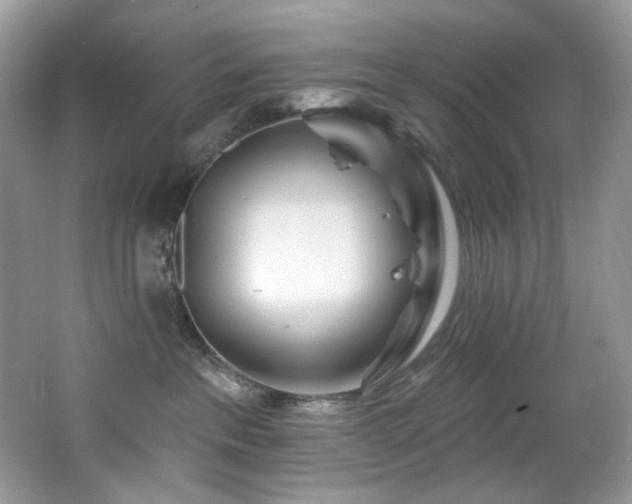 X0000065260237200602171503