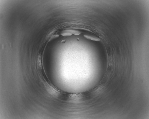 X0000065260238200602171503