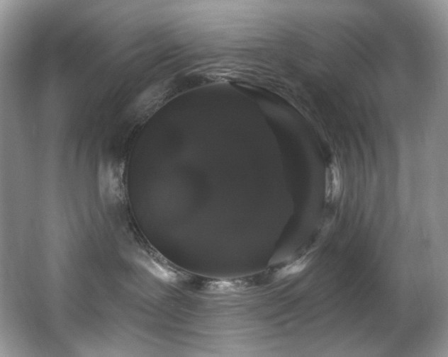 X0000065260239200602171503